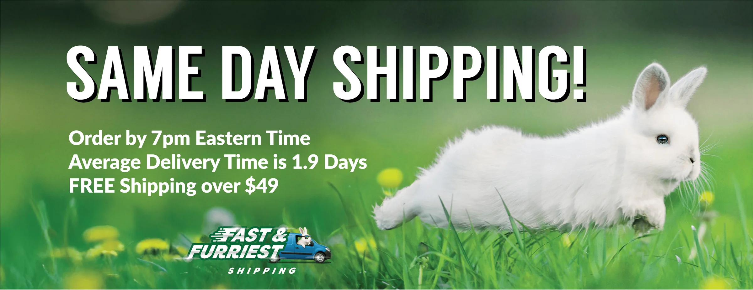 Premium Comfort for Small Pets